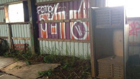 Vulgar on Floral - Hurontario-Street202.jpg