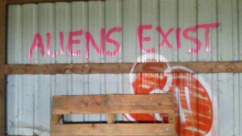 Vulgar on Floral - Hurontario-Street36.jpg