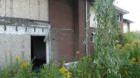 Crispy - SAM_4342.jpg