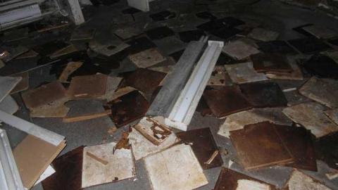 Crispy - SAM_4355.jpg