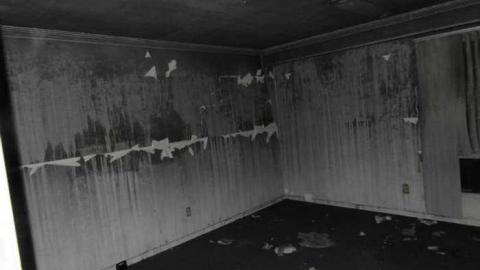 Crispy - SAM_4358.jpg