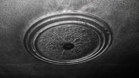 Crispy - SAM_4362.jpg