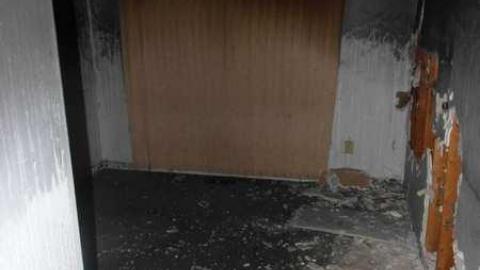 Crispy - SAM_4368.jpg