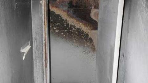 Crispy - SAM_4382.jpg