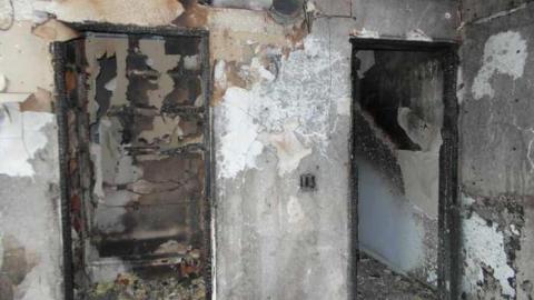 Crispy - SAM_4388.jpg