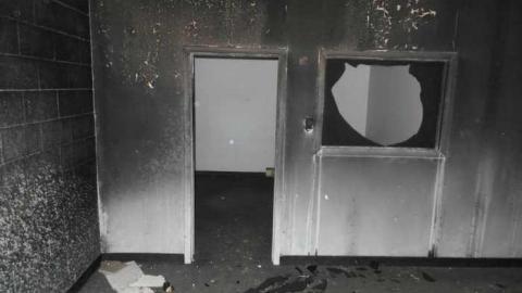 Crispy - SAM_4395.jpg