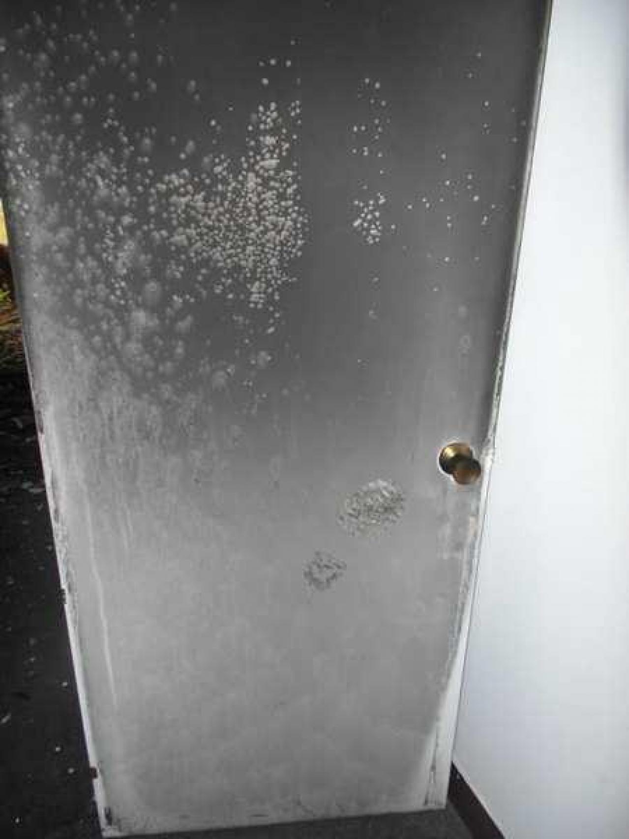 Crispy - SAM_4396.jpg