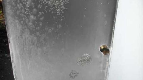 Crispy - SAM_4396.jpg