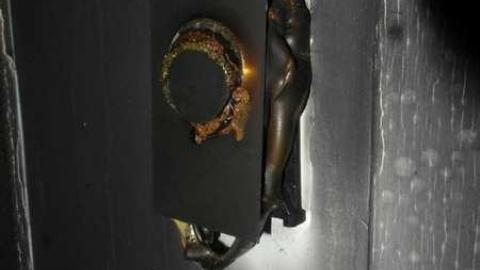 Crispy - SAM_4401.jpg