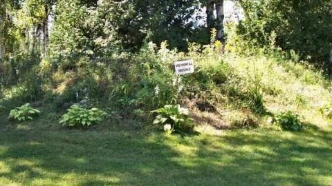 Photo from Bethel Union Pioneer Cemetery