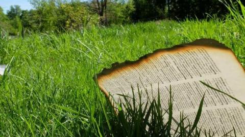 May2013 - Across-The-River218.jpg