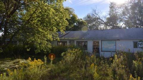 Early September 2013 - Woodstock-Random-Find15.jpg