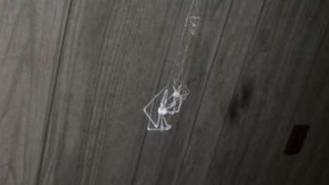 Early September 2013 - Woodstock-Random-Find38.jpg