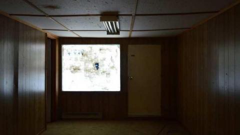 Early September 2013 - Woodstock-Random-Find19.jpg