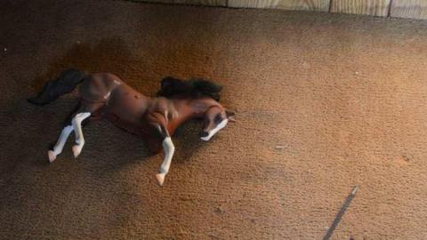 Woodstock Random Find photo 2