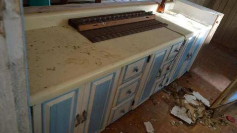 Woodstock Random Find photo 5