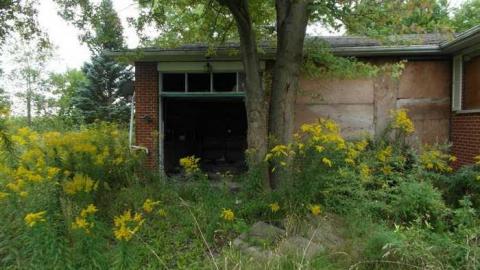 August - Neighbour-to-27673.jpg