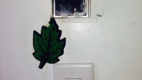 Construction Zone - 70s-Bungalow55.jpg