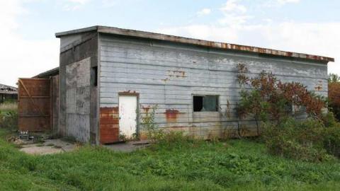 Angry Farm - IMG_1056.jpg