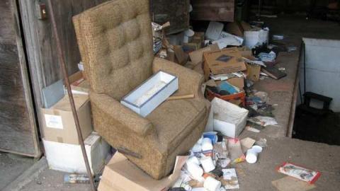 Angry Farm - IMG_1057.jpg