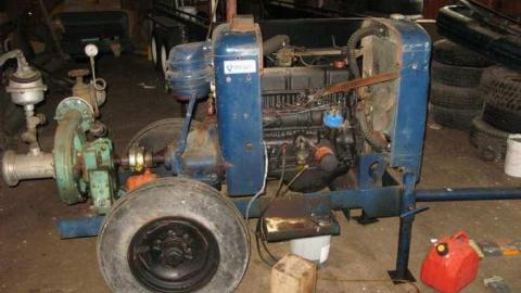 Angry Farm - IMG_1059.jpg