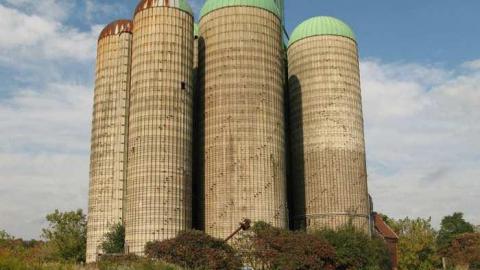 Angry Farm - IMG_1063.jpg