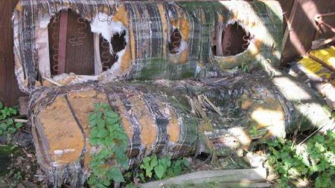 Angry Farm - IMG_1067.jpg