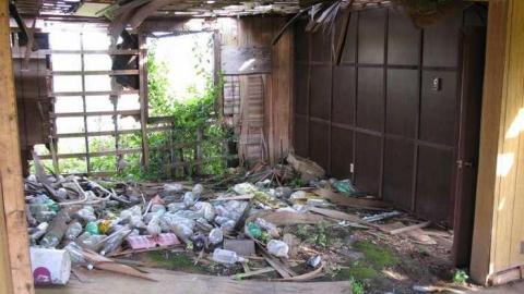 Angry Farm - IMG_1072.jpg