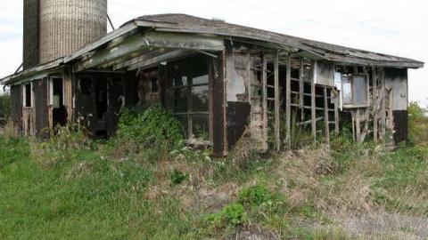 Angry Farm - IMG_1076.jpg