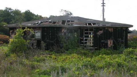 Angry Farm - IMG_1079.jpg