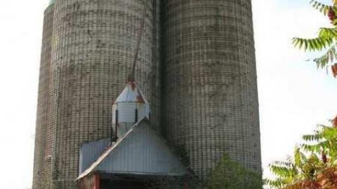 Angry Farm - IMG_1084.jpg