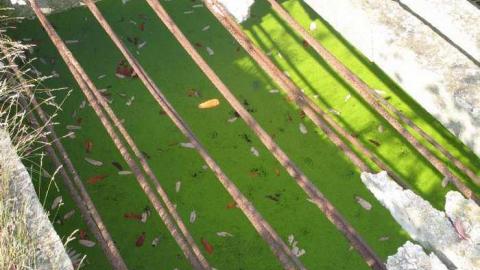 Photo from Angry Farm