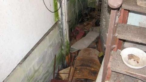 Royal Pizza - Ojibway-Truck-Stop96.jpg