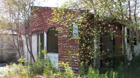 Royal Pizza #2 - Ojibway-Truck-Stop75.jpg