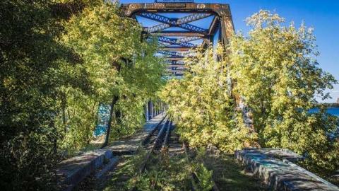 Prince of Wales Bridge photo 4