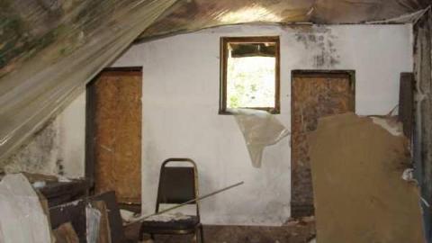 Photo from Royal Pizza #2