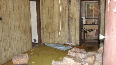 Photo from Royal Pizza #2