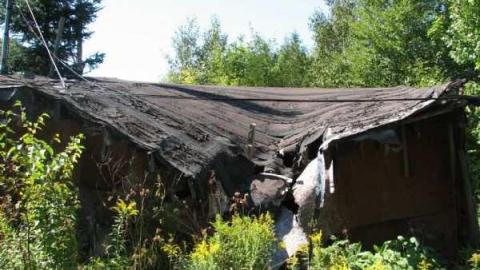 Photo from Royal Pizza #2