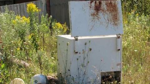 Photo from Royal Pizza #2