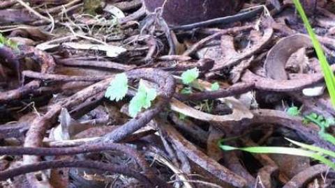 October 3rd, 2013 - Just-off-of-Truck-Bypass47.jpg