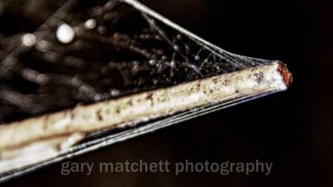 camp 30 - Camp-30-Bowmanville547.jpg