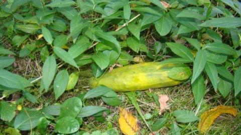 October 2013 - DSC00897.jpg