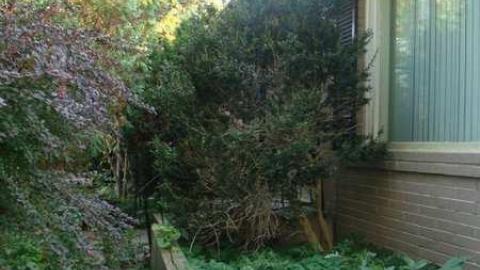 October 2013 - DSC00903.jpg