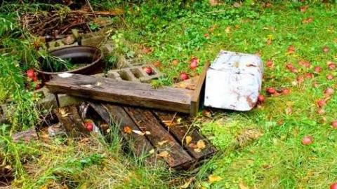 October 4, 2013 - IMG_7769.jpg