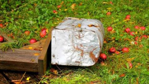 October 4, 2013 - IMG_7770.jpg