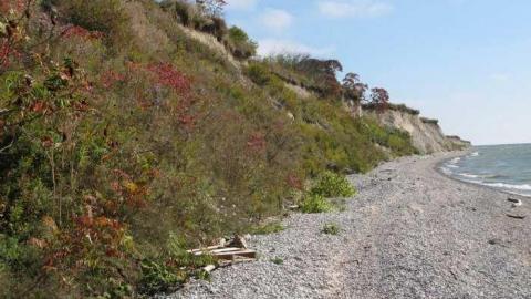 Camp X 9/28/13 - X-Marks-the-Spot2.jpg