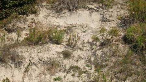 Camp X 9/28/13 - X-Marks-the-Spot3.jpg