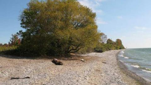 Camp X 9/28/13 - X-Marks-the-Spot11.jpg