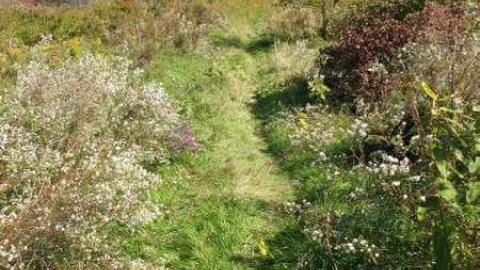 Camp X 9/28/13 - X-Marks-the-Spot4.jpg