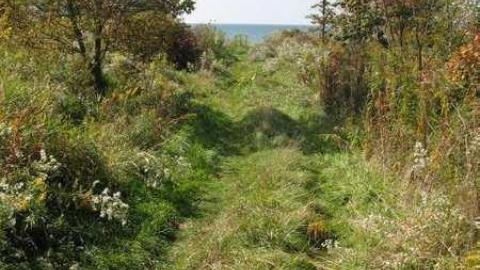 Camp X 9/28/13 - X-Marks-the-Spot12.jpg